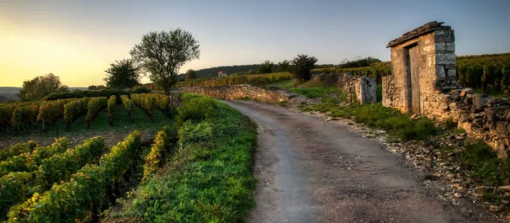 09102010_AIB2022-2-Vignoble_de_la_C__te_de_Beaune__portail_sur_le_village_de_Pommard_Aur__lien_Ibanez_crop