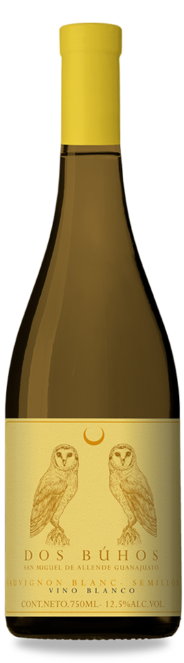 Botella Semillón Dos Buhos Imagen Detalle