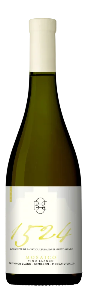 Dos_Buhos_Mosaico1524_Blanco-scaled