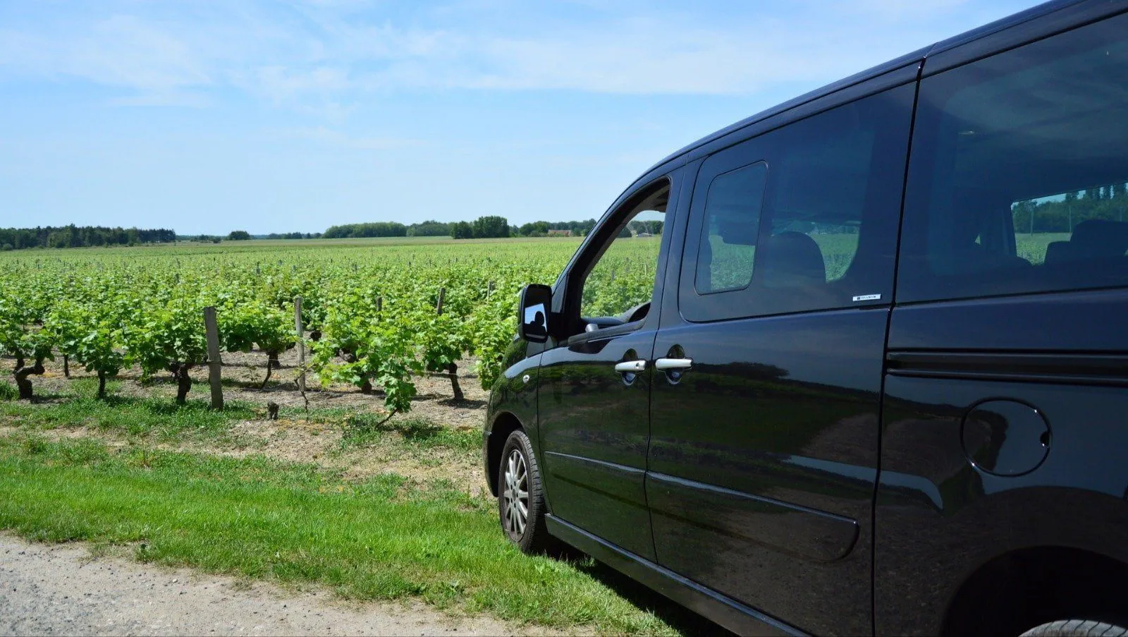 camioneta negra para pasajeros en un viñedo