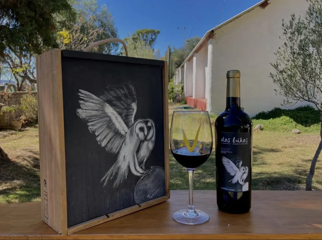 Vino dos Búhos servido en el viñedo, con el logo a su lado, hecho a mano.