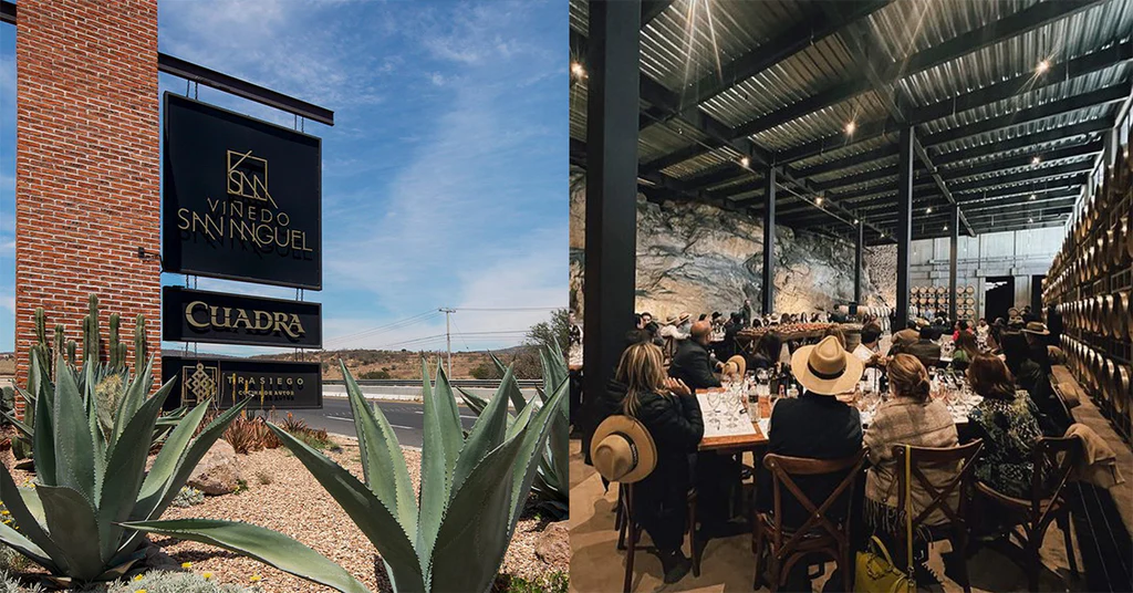 Dos tomas en interior y exterior del viñedo San Miguel.