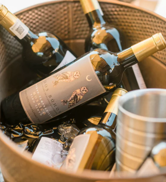 botellas de vino de dos buhos