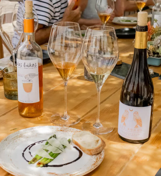 maridaje de vino en dos buhos