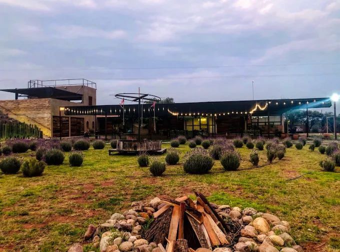 Exterior del viñedo Los Arcángeles.