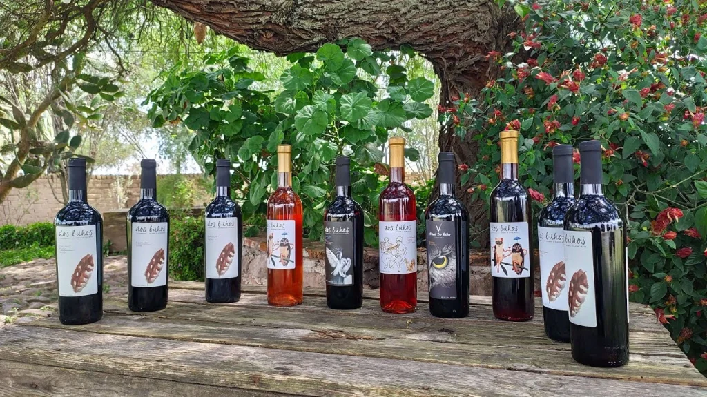 Variedad de vinos Dos Búhos extendidos en el exterior del viñedo.