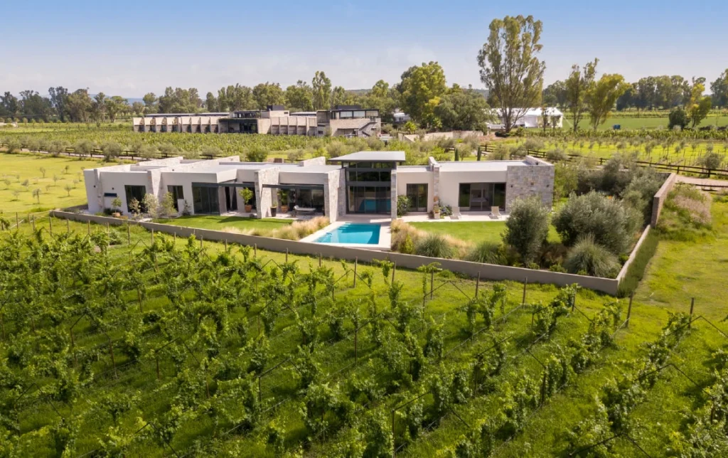 Vista panorámica de viñedos San Francisco.