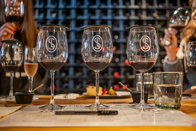 Copas de vinos del Viñedo San Lucas.