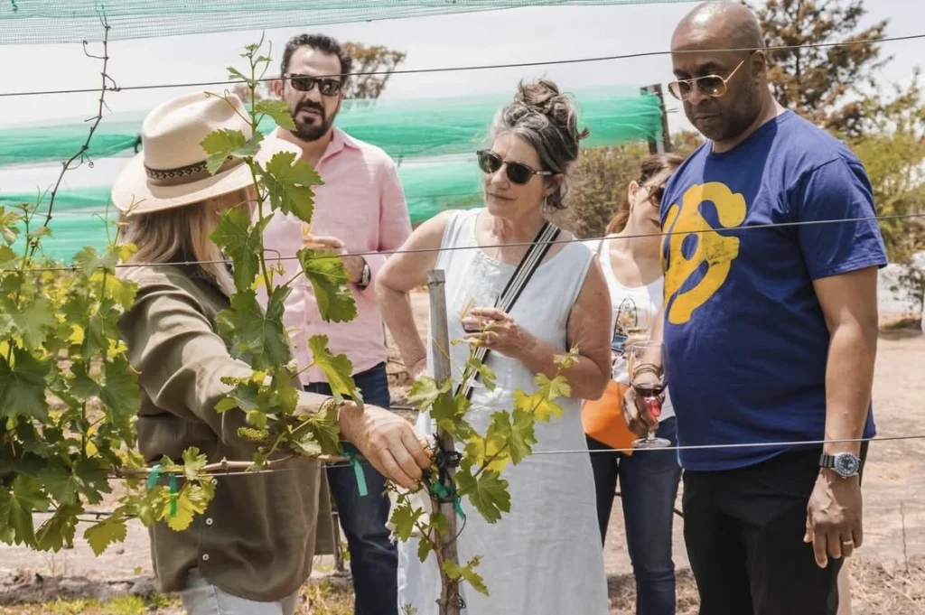Enoturistas conocen el viñedo Dos Búhos.