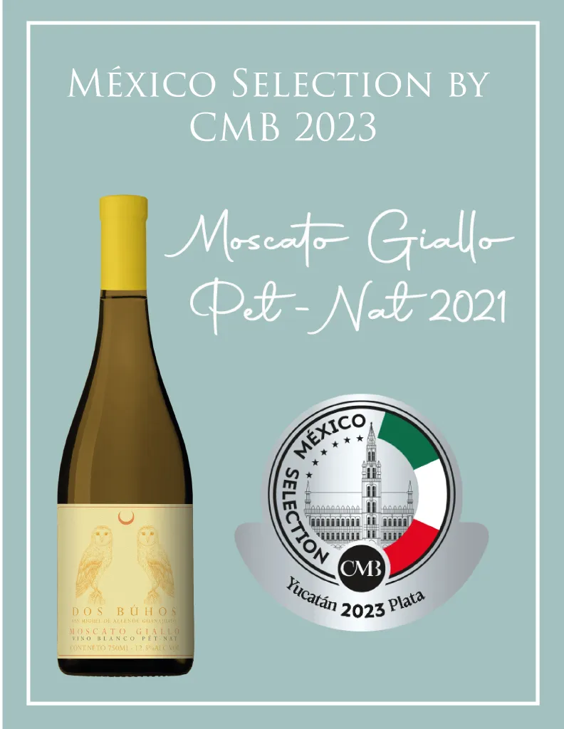 mexicoo selecton cmb 2023
