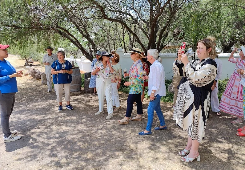 Catas guiadas viñedo Dos Búhos en San Miguel de Allende