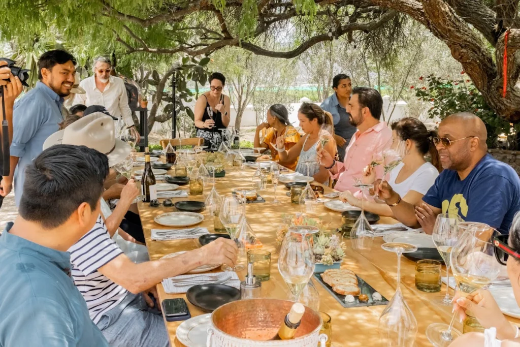 Eventos sociales al aire libren en viñedo Dos Búhos en San Miguel de Allende