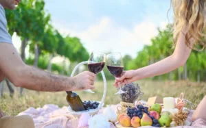 Picnic en Dos Búhos