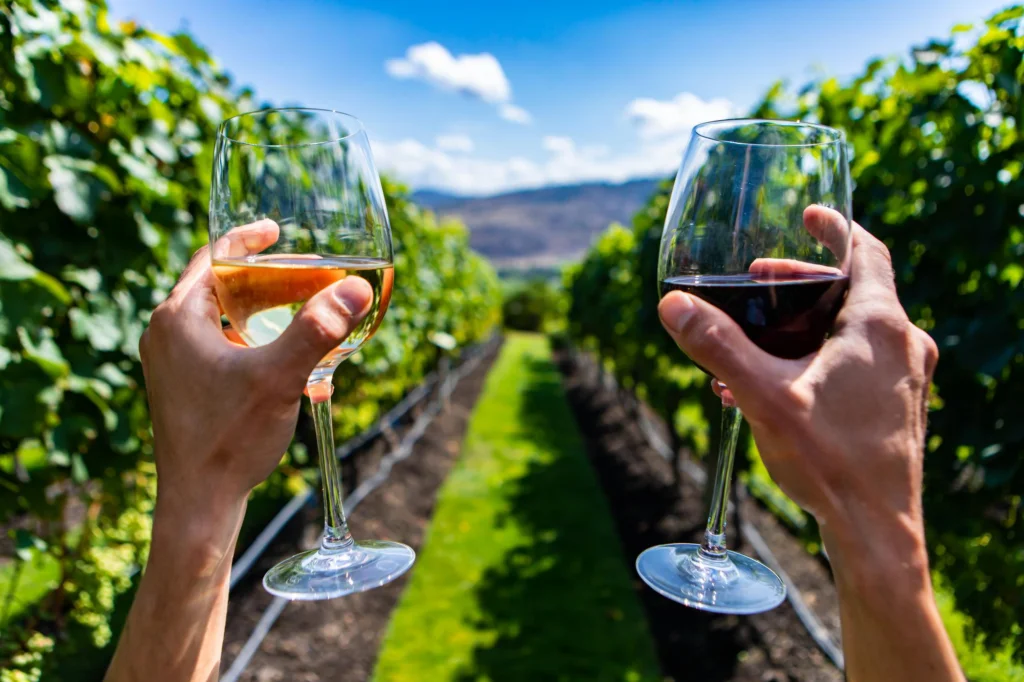 Vinos orgánicos vs. Vinos convencionales