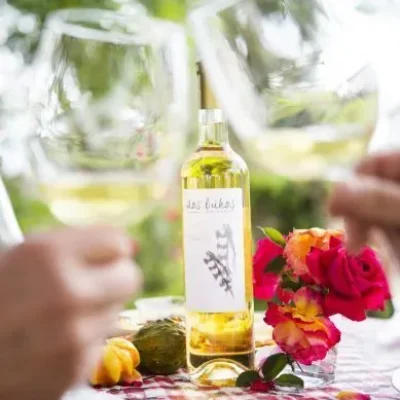 bodega-dos-buhos-chardonnay-picnic-e1591377013653